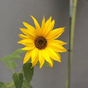 Everything!  Make an offer